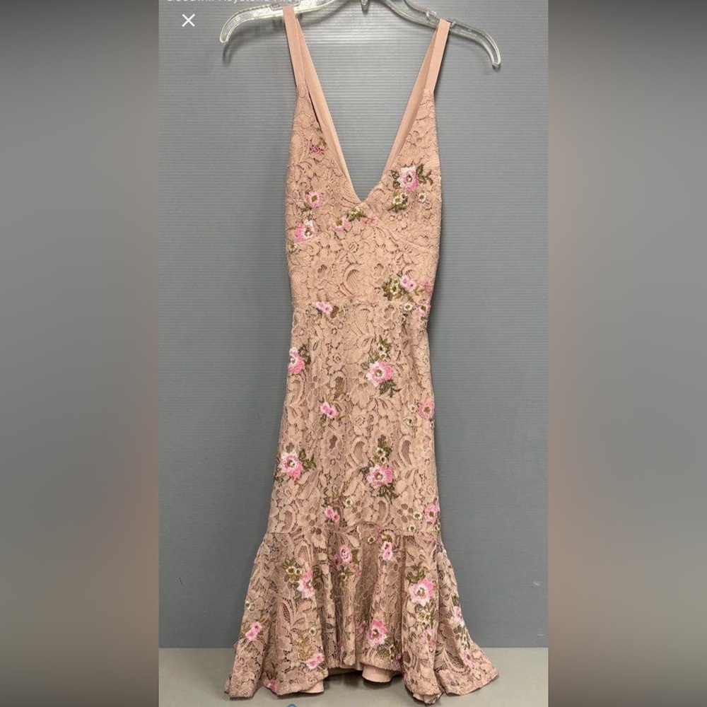 Backless Lace Dress in Pink and Cream WAYF size xs NWT